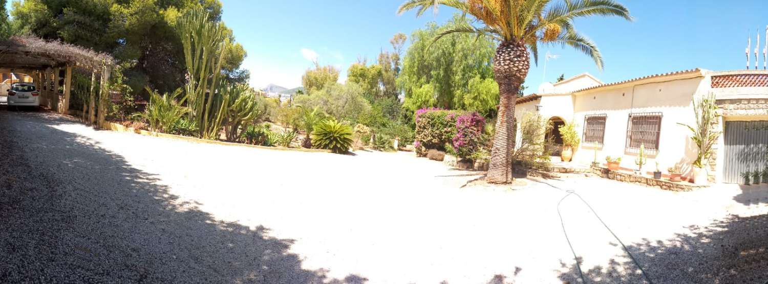 Plot salgai in Playa Arenal-Bol (Calpe)