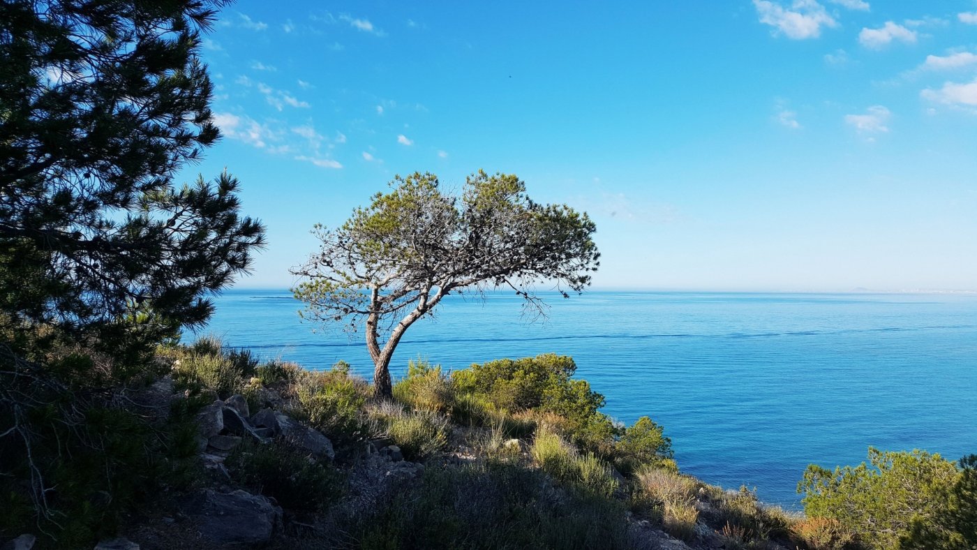 Appartamento in vendita a Villajoyosa