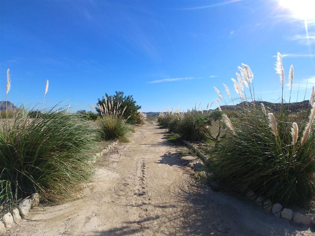 Domain en vente à Alicante