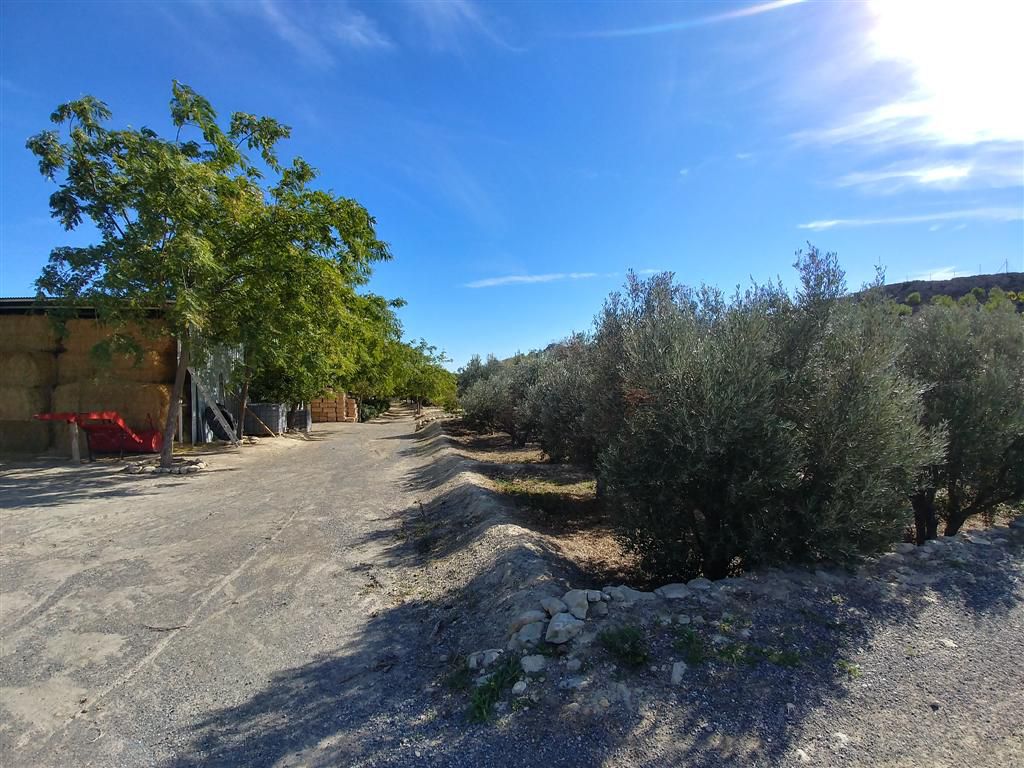 Country Property salgai in Alicante