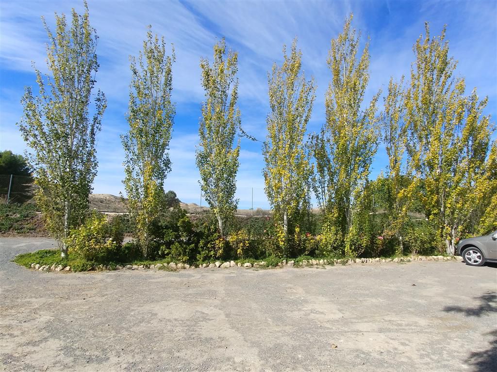 Venta Finca 44318 m2 en Polígonos, Elche/Elx