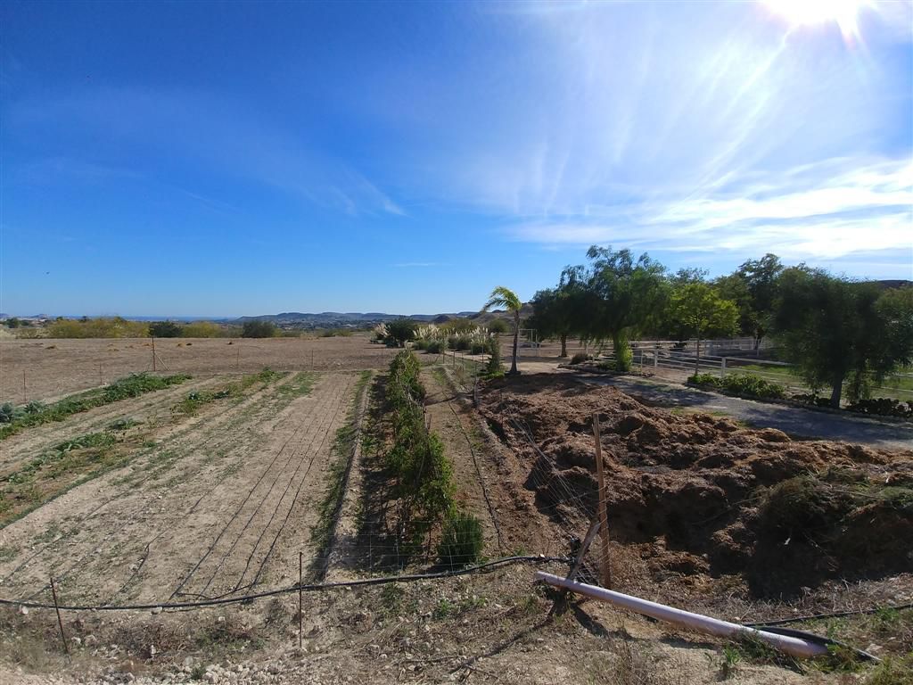 Venta Finca 44318 m2 en Polígonos, Elche/Elx