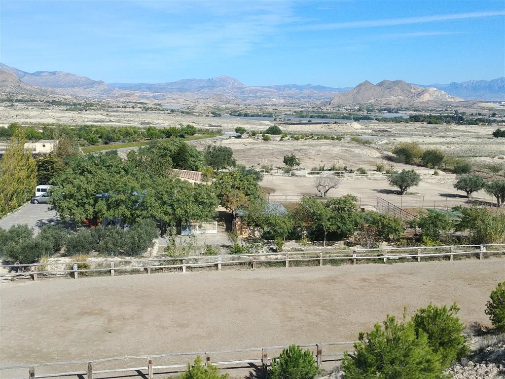 Venta Finca 44318 m2 en Polígonos, Elche/Elx