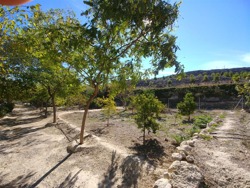 Venta Finca 44318 m2 en Polígonos, Elche/Elx