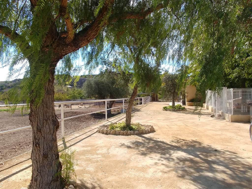 Venta Finca 44318 m2 en Polígonos, Elche/Elx