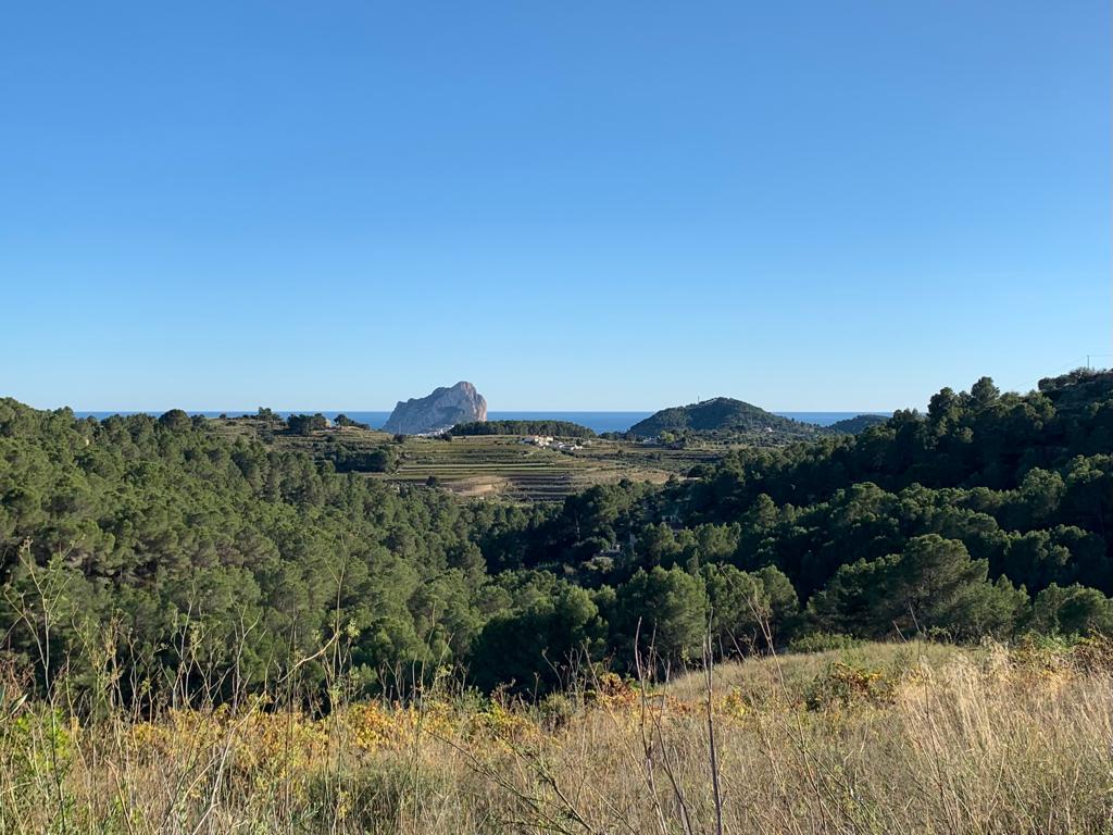 Terreno rústico de 54104 m2 en Benissa (Alicante-Costa Blanca)