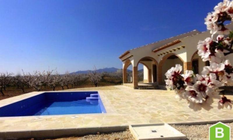 Villa for sale in Pinoso