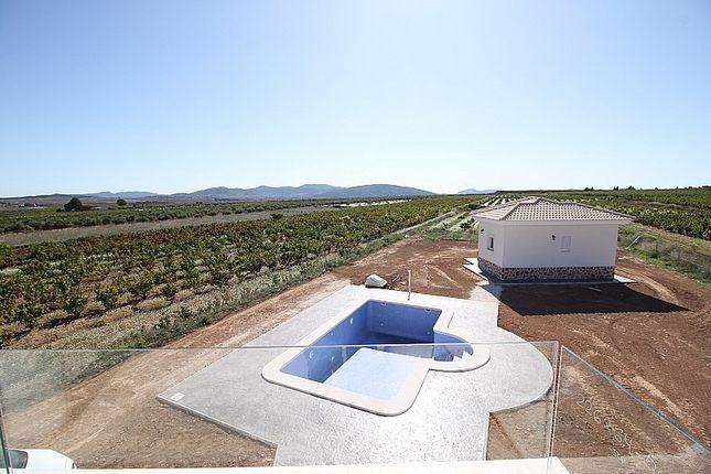 Villa for sale in Pinoso