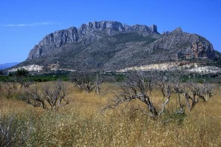 Átic en venda in El Verger