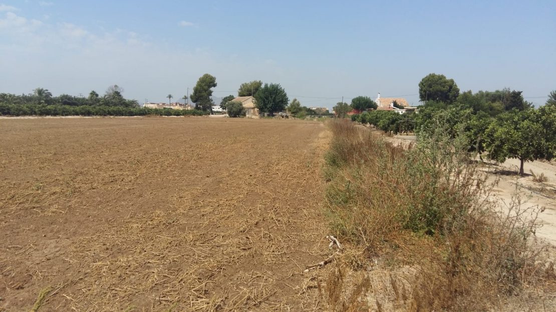 Propriété rustique de 26 715 m2 avec maison à Daya Nueva (Costa Blanca Sud)