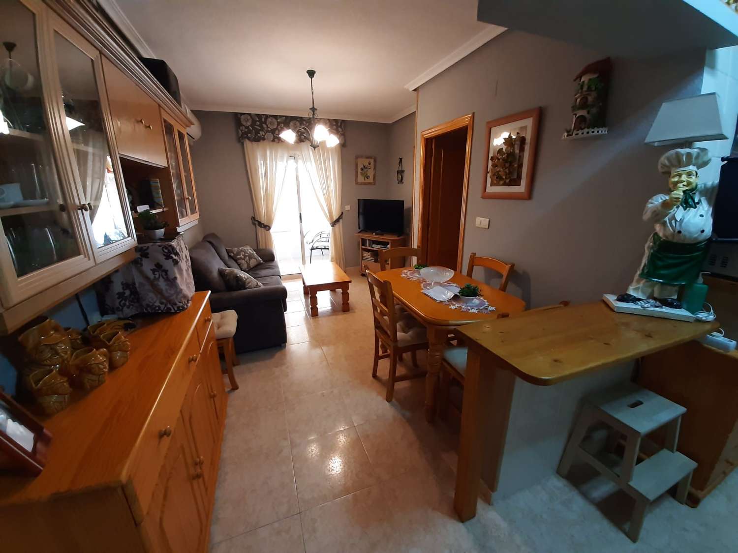 Apartamento planta baja 2 dormitorios con piscina a 800 m del mar y junto a todos los servicios en Torrevieja (Costa Blanca Sur)