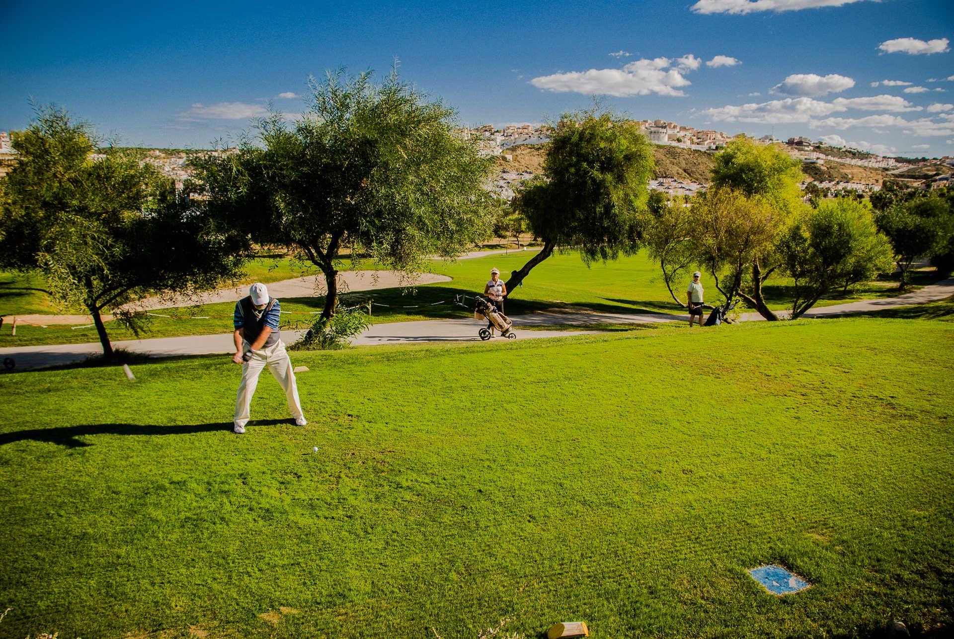 Villak salgai in Rojales