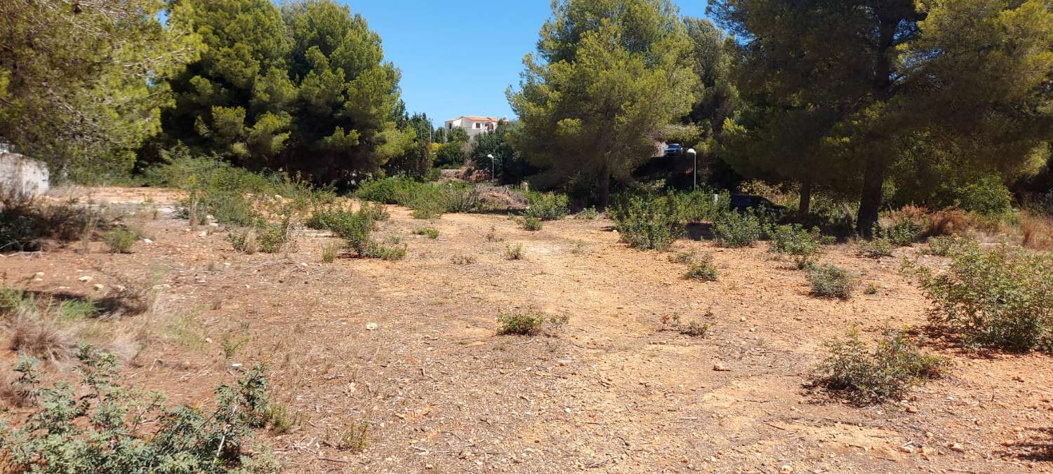 Plot of 849 m2 completely flat with electricity and water very close to all types of services in Calpe (Costa Blanca)