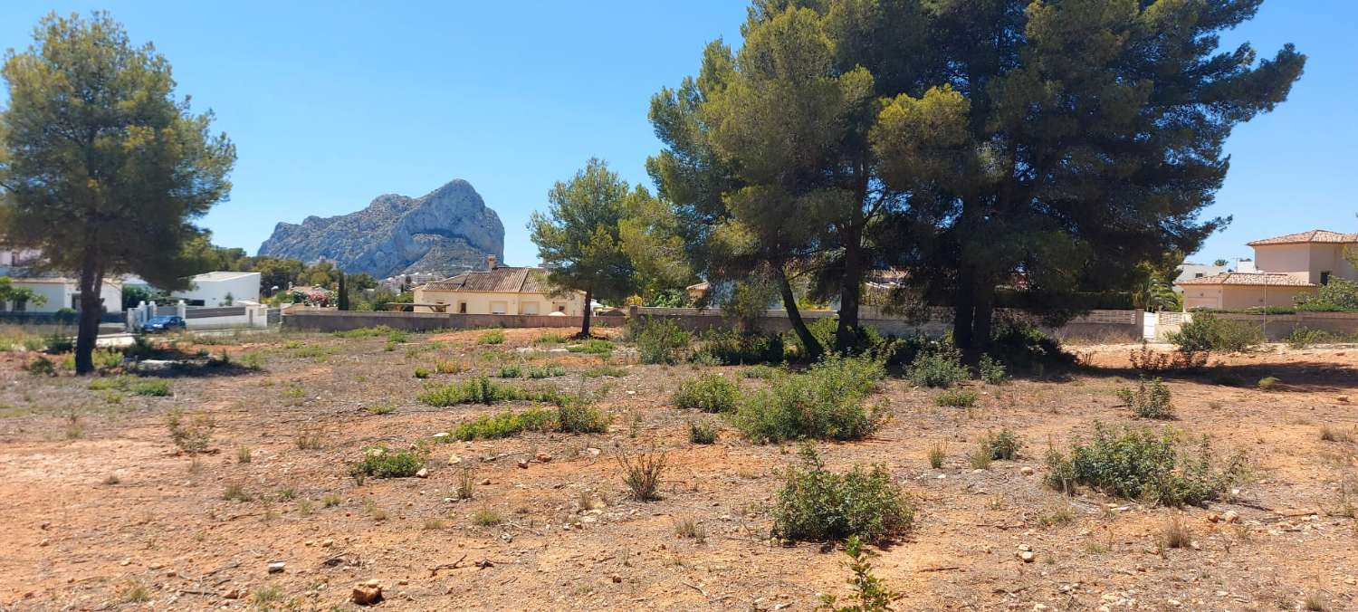 Perceel van 849 m2 volledig vlak met elektriciteit en water vlakbij alle soorten voorzieningen in Calpe (Costa Blanca)