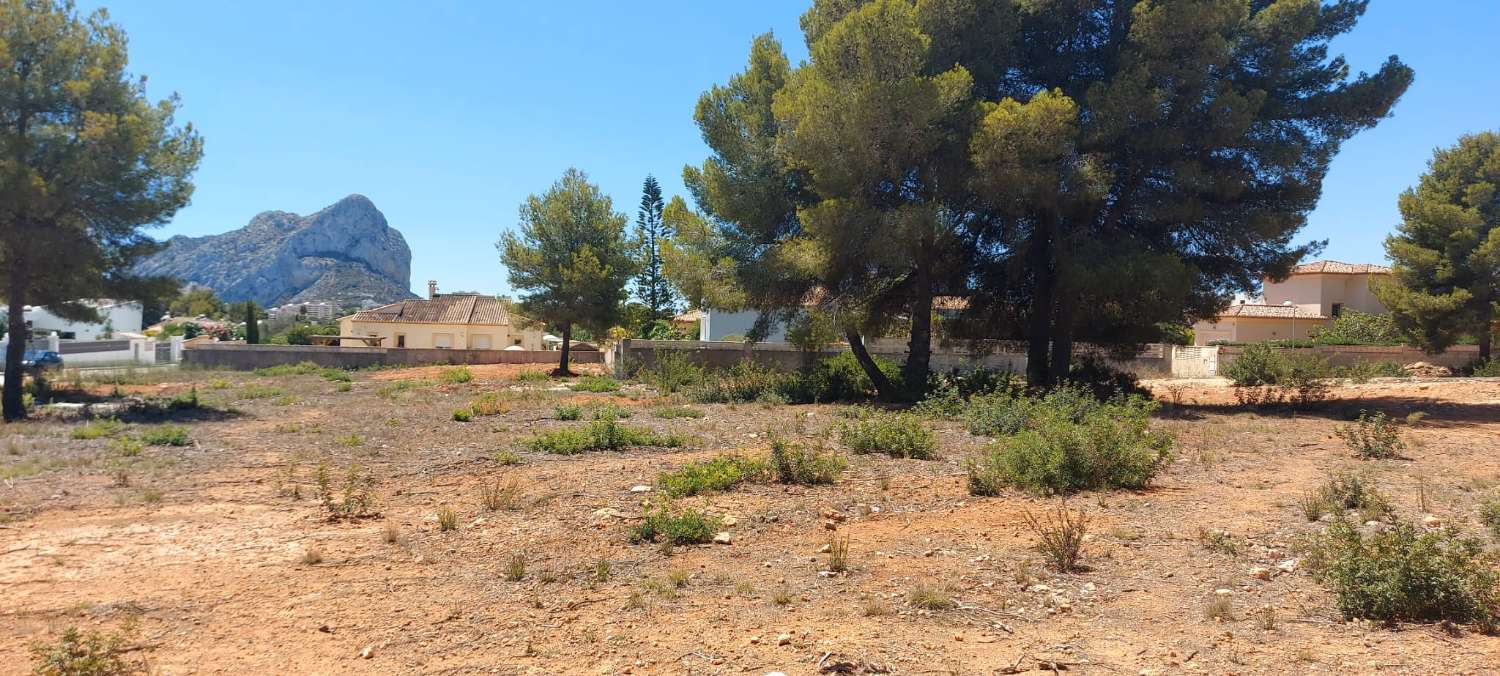 Plot of 849 m2 completely flat with electricity and water very close to all types of services in Calpe (Costa Blanca)