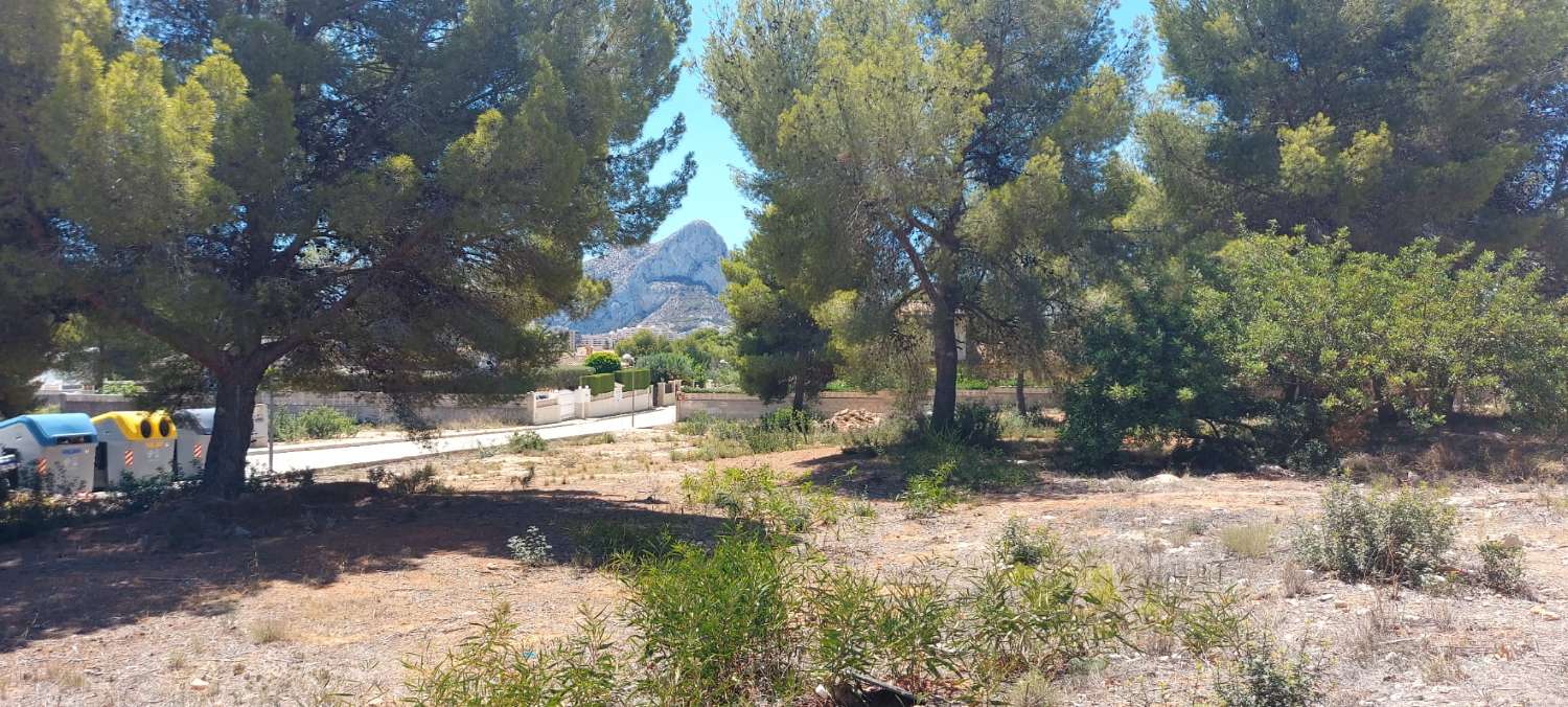 Terrain de 849 m2 complètement plat avec électricité et eau très proche de tous types de services à Calpe (Costa Blanca)