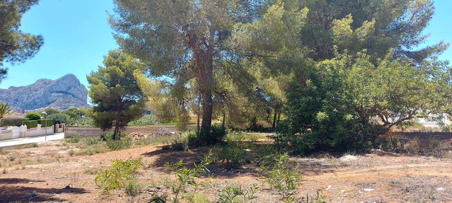 Plot of 849 m2 completely flat with electricity and water very close to all types of services in Calpe (Costa Blanca)