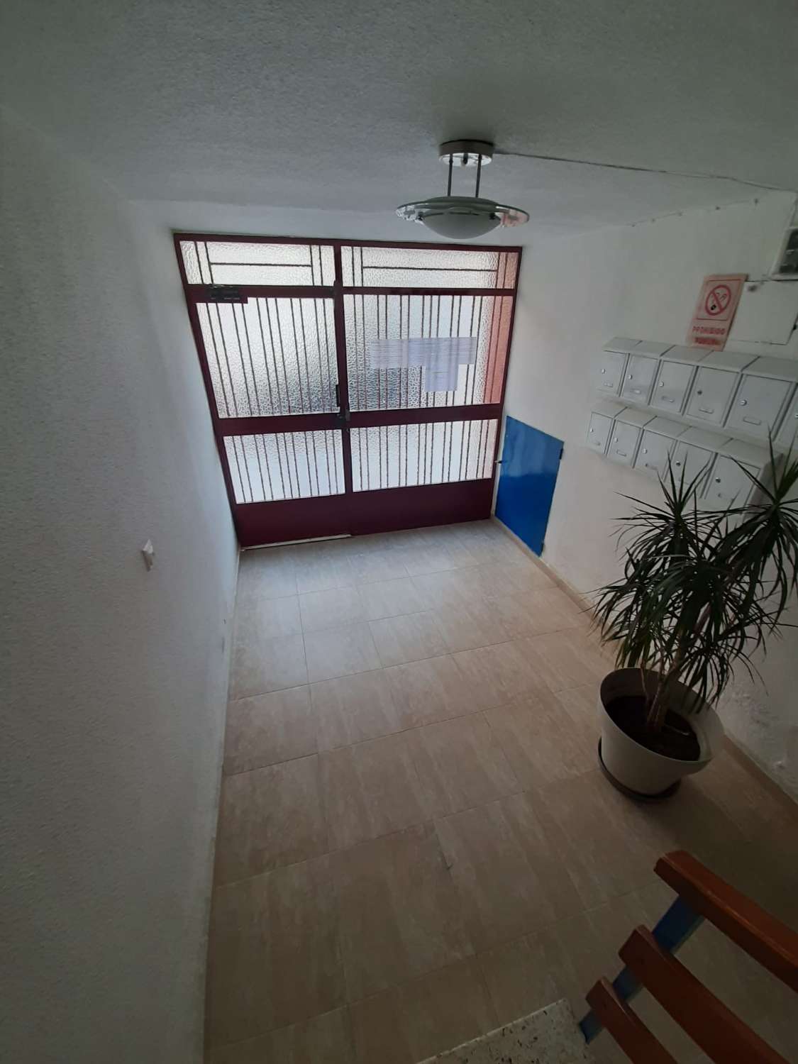 2-Zimmer-Wohnung 300 m von Playa del Cura in Torrevieja (Costa Blanca Süd)