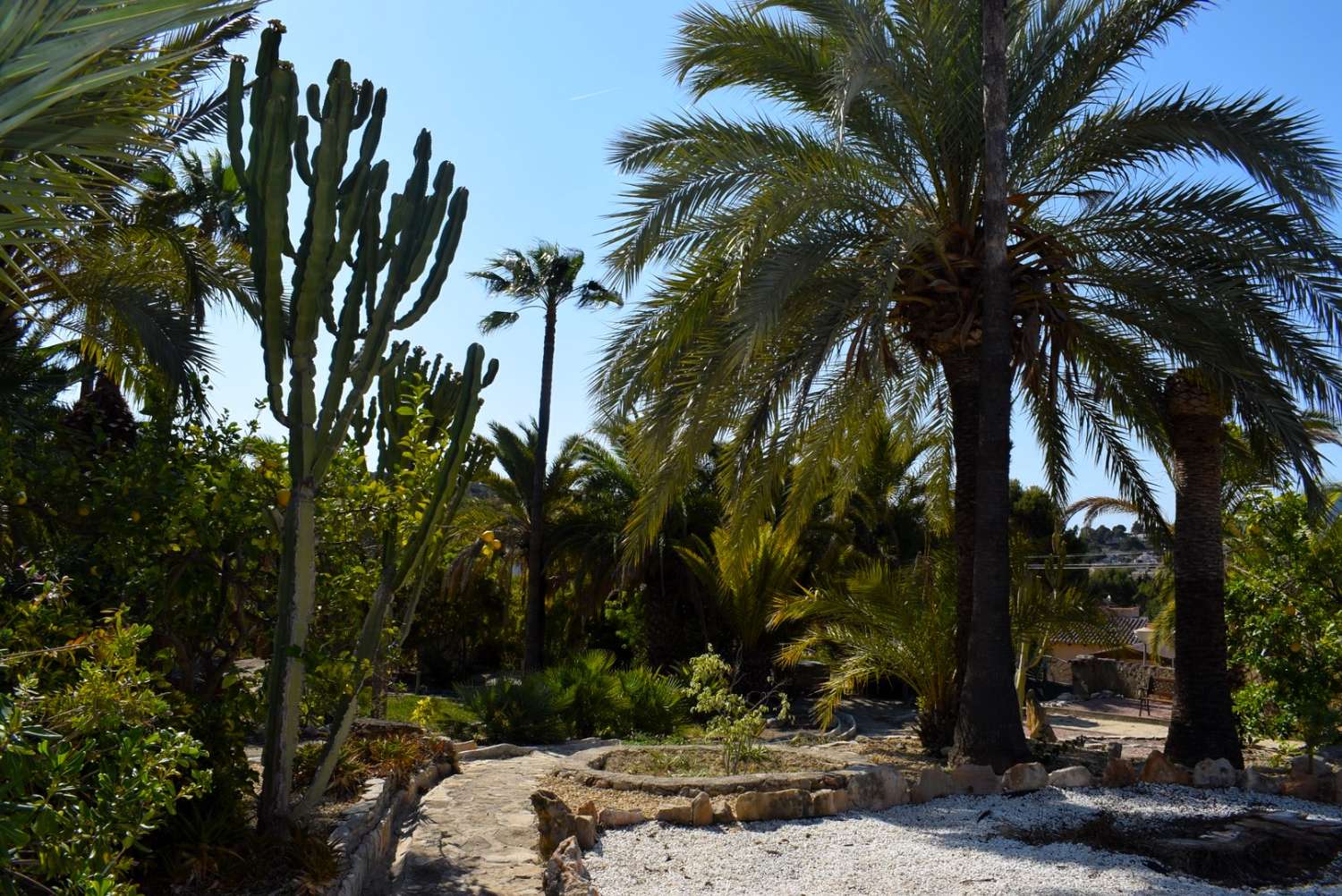 Complexe résidentiel avec de magnifiques possibilités commerciales à seulement 4 km des plages de Calpe (Costa Blanca)