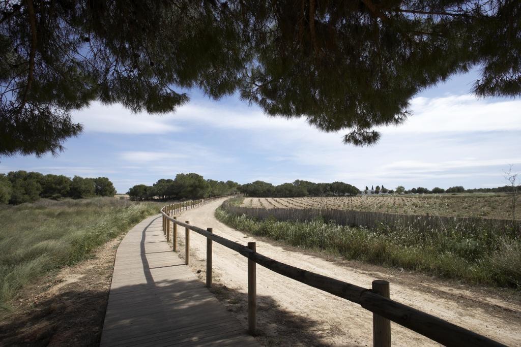 平房 出售 在 Torrevieja