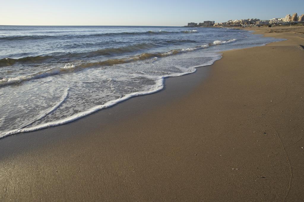 平房 出售 在 Torrevieja