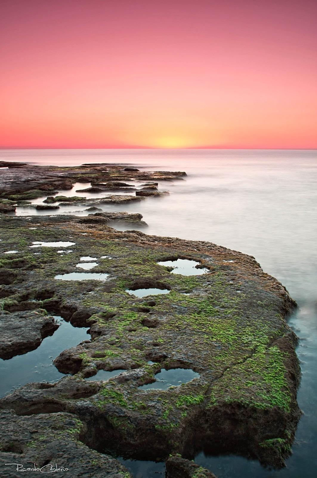 平房 出售 在 Torrevieja