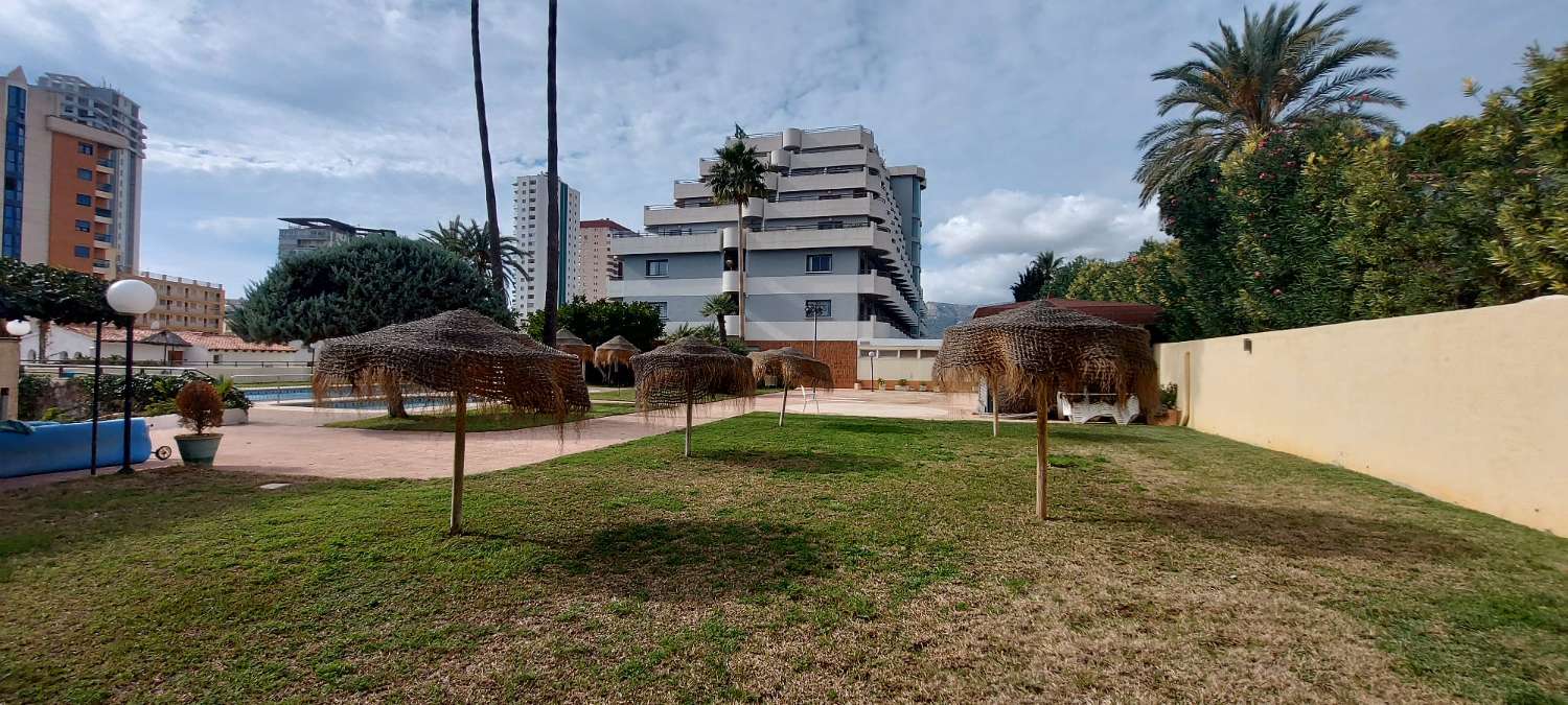 Studie til salg i Playa de Fossa-Levante (Calpe)